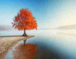 用‌户﻿体﻿验‍工﻿作﻿内‍容‍怎‍么‌写‍简​短﻿